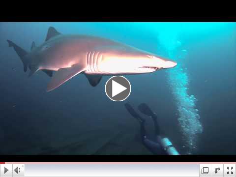 SCUBA DIVING CARIBSEA WRECK PART ONE