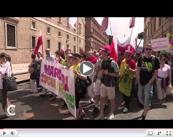 Cardinal Burke on global pro-life activism