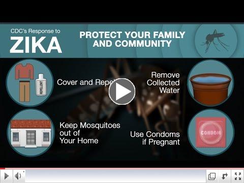 Zika Virus Prevention: Summary for the General Public