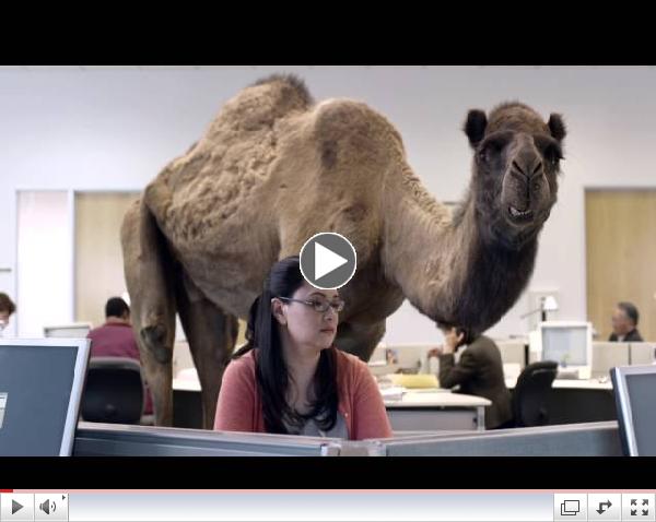 I'm not really trying to help advertise for GEICO...I just think this commercial is hilarious :)
