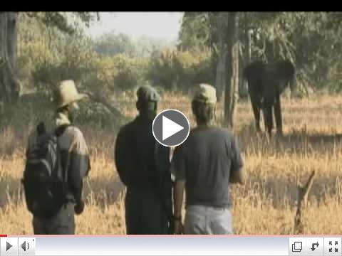 wildlife conservation society national geographic