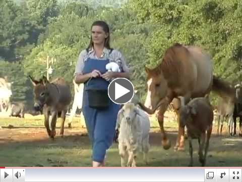 Noah's Ark of Locust Grove