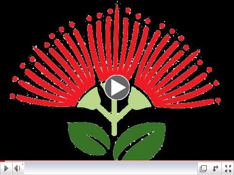 Building Better Gardens: Pollinator Friendly Landscaping In Hawaii by Ethel Villalobos