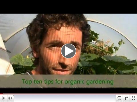 Organic Gardening - Top Ten Tips / How to grow vegetables / How To Grow episode