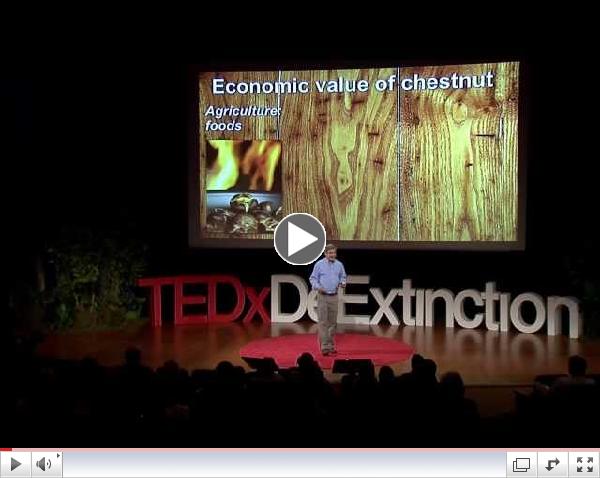 Reviving the American forest with the American chestnut: William Powell at TEDxDeExtinction