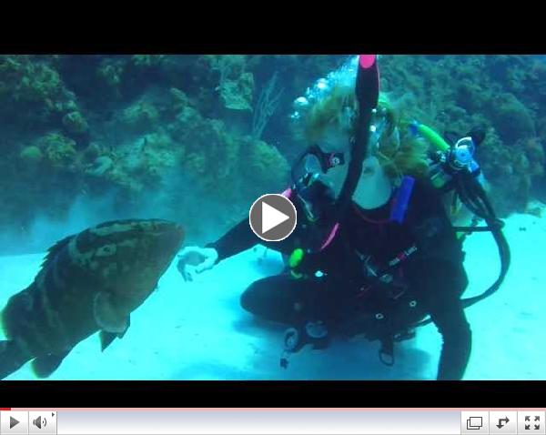 Little Cayman 2012 Anna Pets a Nassau Grouper