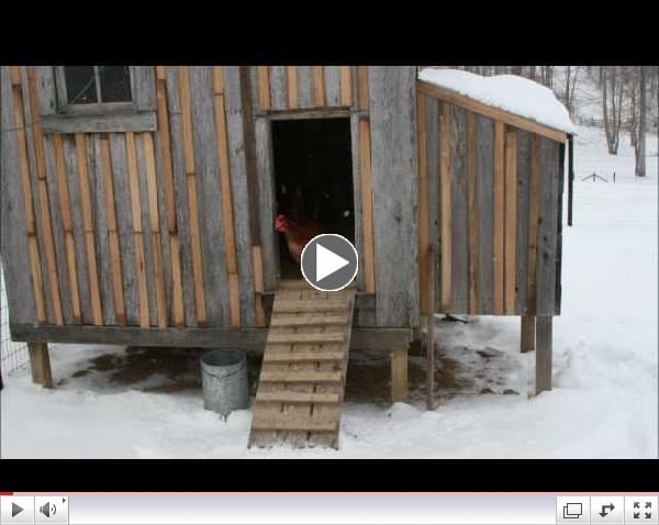 Life on a Self Sufficient farm