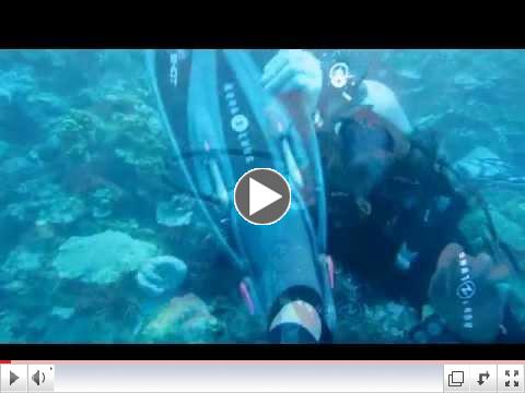Scuba Diver Girls Boat Dive in Bonaire!!