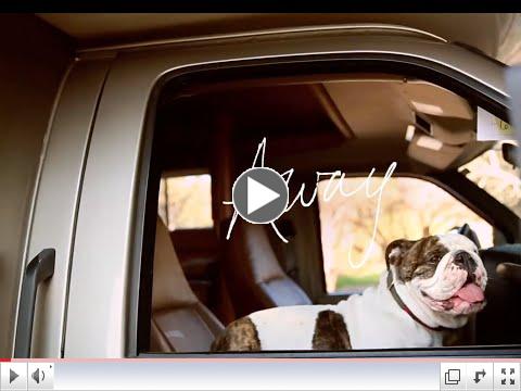 Dogs - Go RVing TV Commercial 