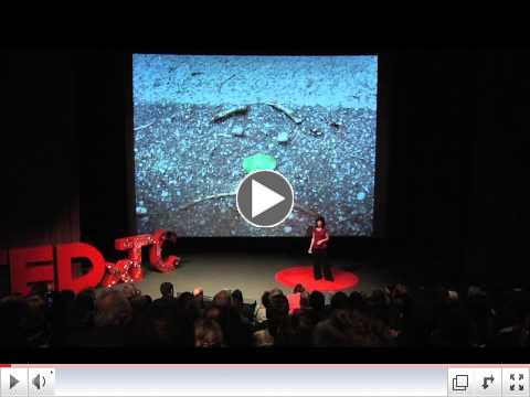 TEDxTC - Terrie Rose - From the Baby's Point Of View