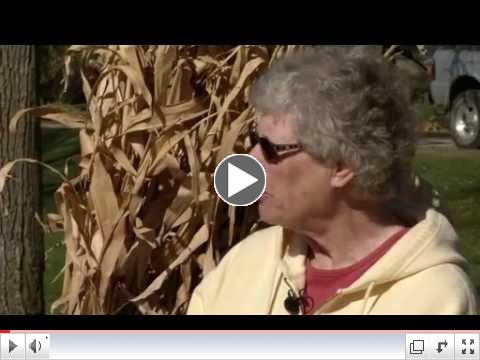 Prairie Yard & Garden: Storing Vegetables