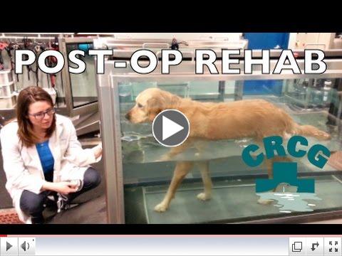 Post-Op Rehab