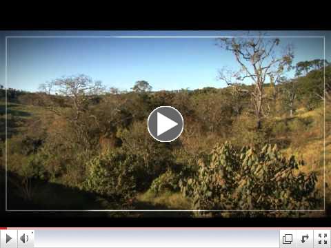 Fazenda Bau - Brazil Cerrado