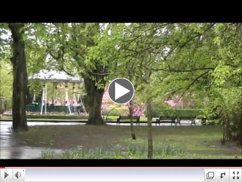 World Tai Chi Day 2012