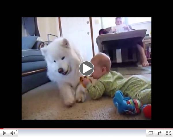 Dogs Best Nannies for Kids Compilation November 2013