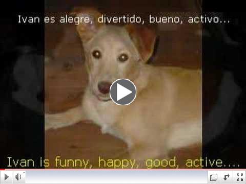 Ivan ( HA SIDO ADOPTADO)