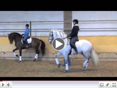 FEBRUARY 2012 RIDING PIAFFE AT COVECA .mp4