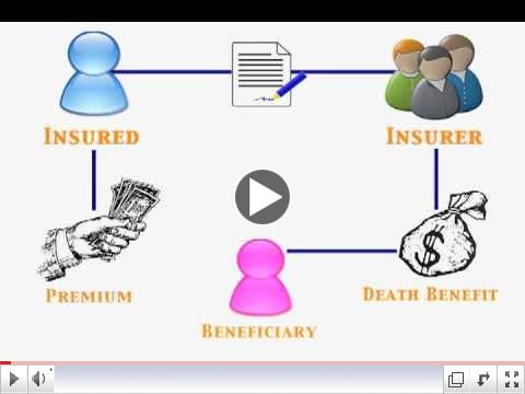 Understanding Life Insurance