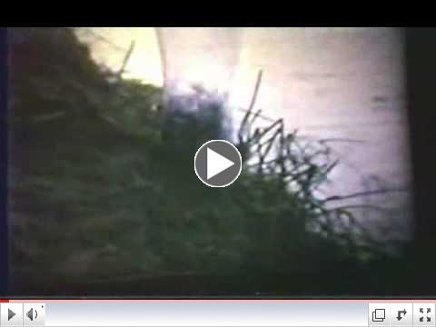 Smelt Fishing Sandy River 1974 ( no sound )