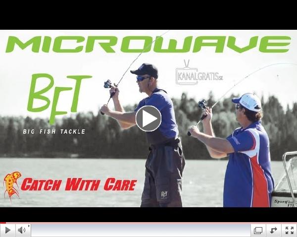 MicroWave Line Control System on the new BFT rod series
