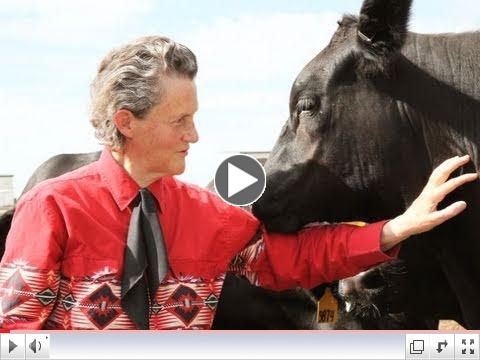 The World Needs All Kinds Of Minds: An Interview with Dr. Temple Grandin