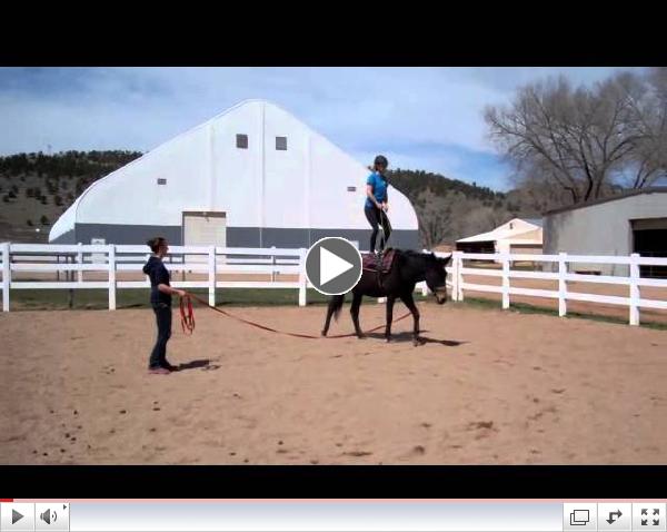 April 2014 Vaulting Training with Allie the Mule