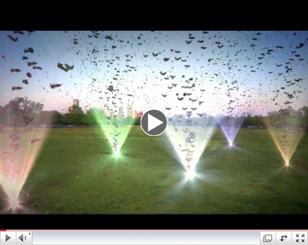 Official 2013 ACL Festival Lineup Video