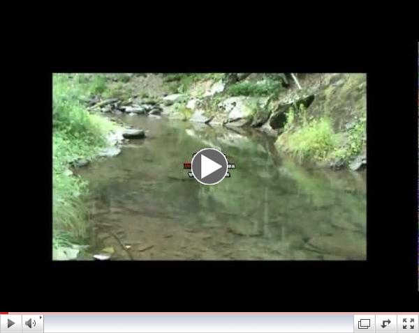 Kromer Pool - Slate Run