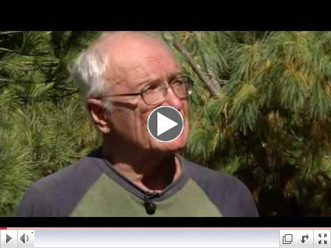 Prairie Yard & Garden: River Glen Gardens