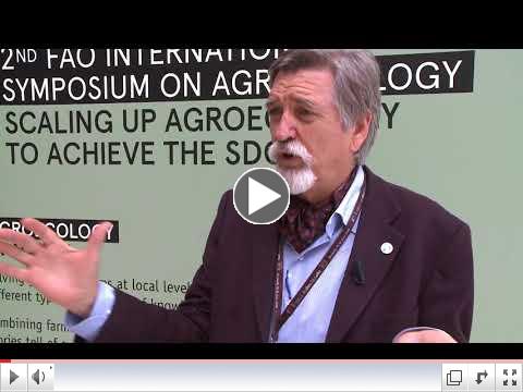 Jeffrey Campbell shows where forests fit in