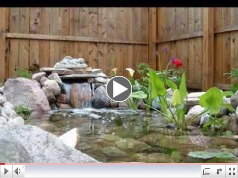 Small garden pond ideas