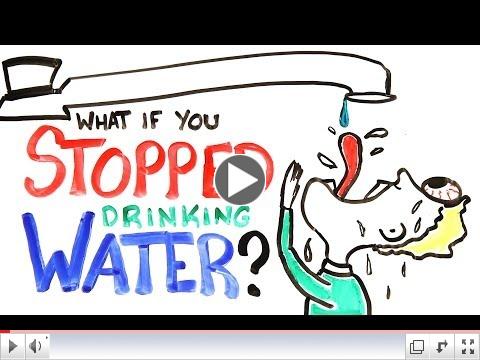 What if you stopped drinking water?