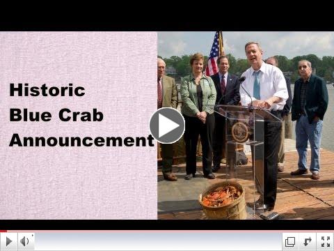 Highest Juvenile Blue Crab Population on Record in Maryland!