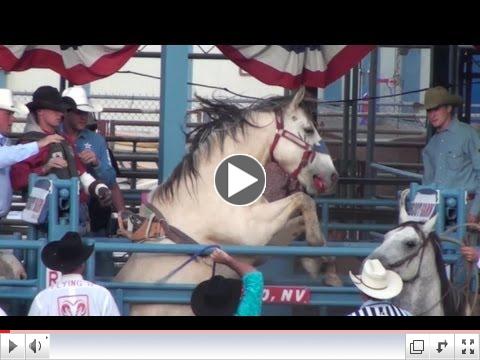 Bloody Reno Rodeo Horse Bucked in Spite of Injury