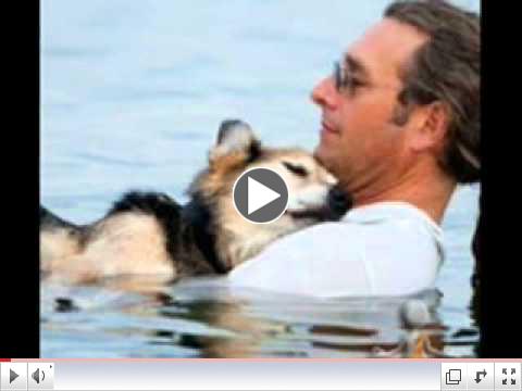 Lake Superior Story : Tender Moment Between Man And His Sick Dog In Lake Superior