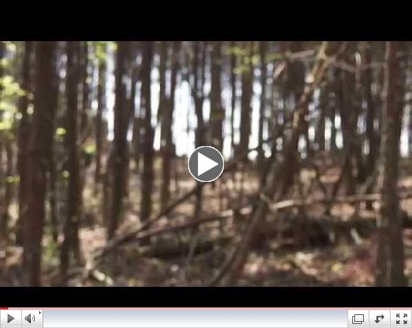 Pine Mountain Hike Trail