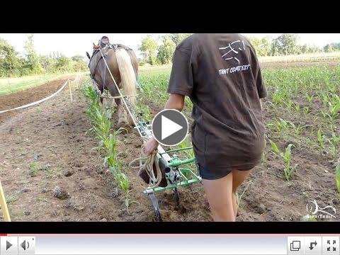  Horse-drawn Farm Machinery - Trophée Européen de l'Innovation Technologique 2016 