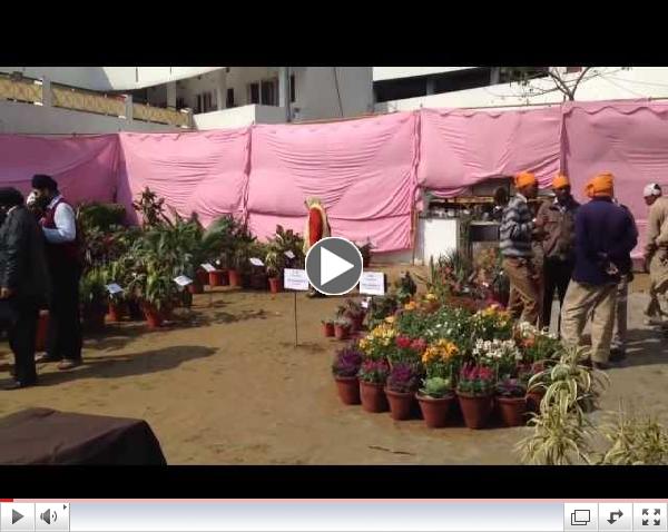 Gurdwara sarabha nagar Ludhiana flower show 2014 March