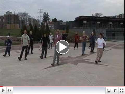 World Tai Chi day 2008