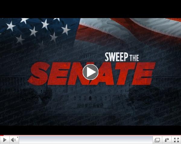 Sweep The Senate (2014 Midterm Elections)