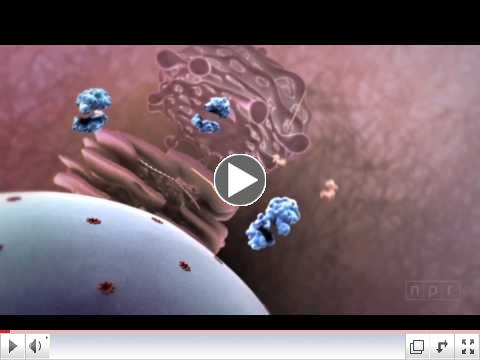 Flu Attack! How A Virus Invades Your Body