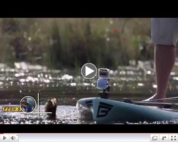 Let The Pads Wake Up For Swamp Dwelling Largemouth - Dave Mercer's Facts of Fishing