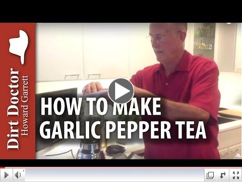 Garlic Pepper Tea