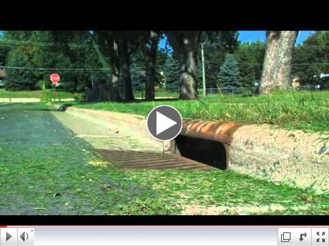 Parks Staff Keep Water Clean