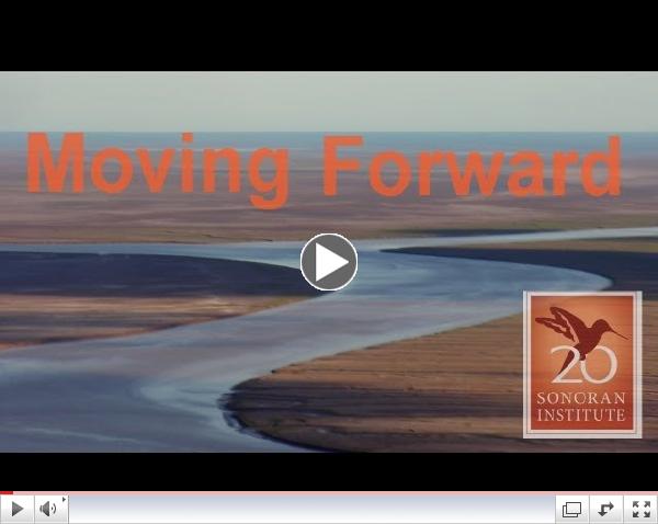 Moving Forward - Delta Restoration