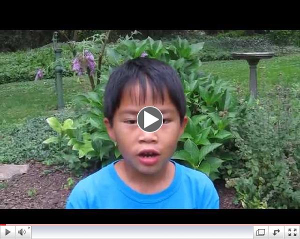 Peace Day 2014 - 