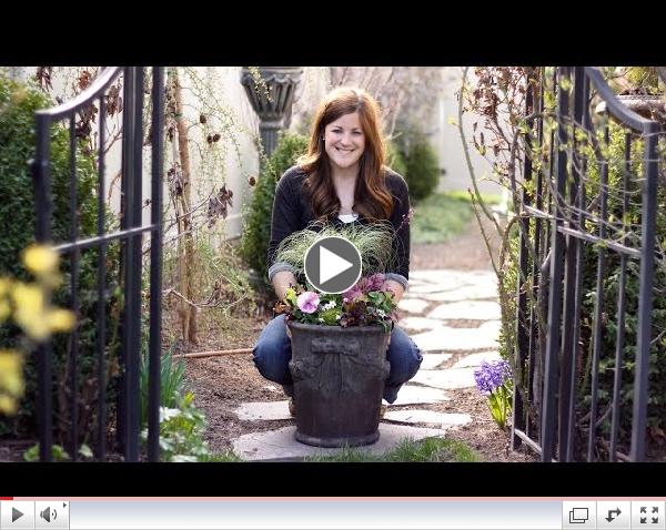 Spring Planter Inspiration