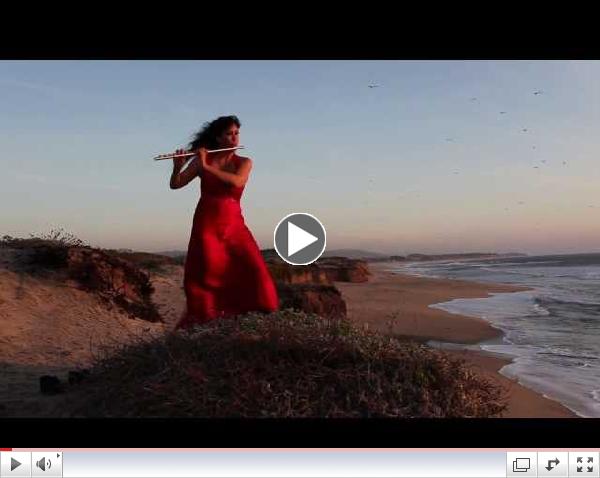 STING Fields of Gold Flute Cover Viviana Guzman