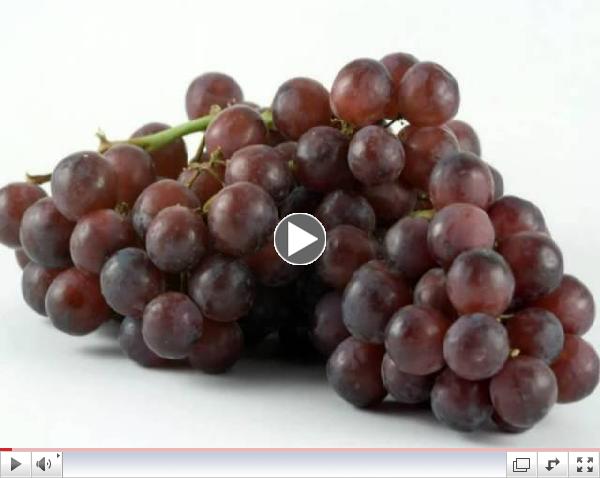 Top Ten Cancer Fighting Foods