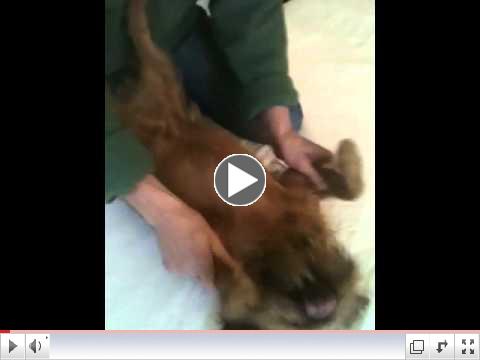 Massaging Tully